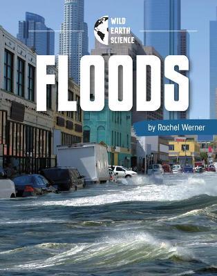 Floods - Rachel Werner