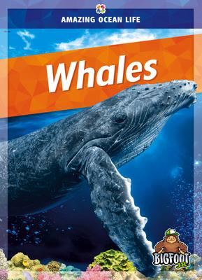 Whales - Colleen Sexton