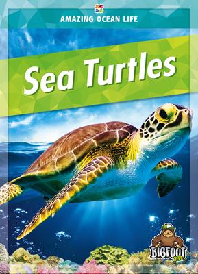 Sea Turtles - Colleen Sexton