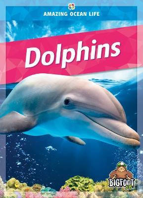 Dolphins - Colleen Sexton
