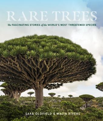 Rare Trees: The Fascinating Stories of the World's Most Threatened Species - Sara Oldfield
