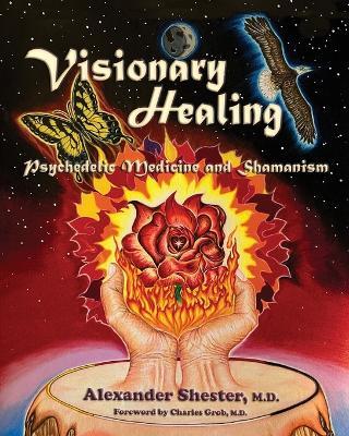 VISIONARY HEALING Psychedelic Medicine and Shamanism - Alexander Shester