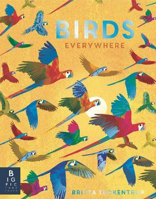 Birds Everywhere - Camilla De La Bedoyere