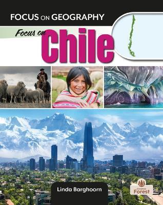 Focus on Chile - Linda Barghoorn