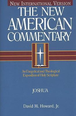 Joshua, 5: An Exegetical and Theological Exposition of Holy Scripture - David M. Howard
