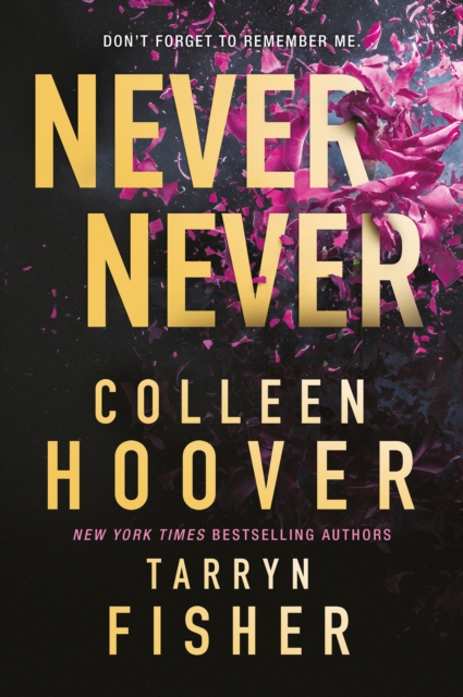 Never Never - Colleen Hoover, Tarryn Fisher