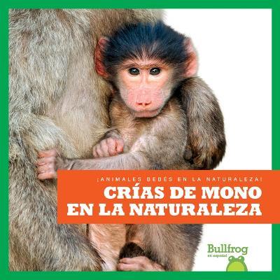 Crнas de Mono En La Naturaleza (Monkey Infants in the Wild) - Marie Brandle