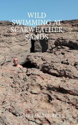 Wild Swimming at Scarweather Sands - Robert Minhinnick