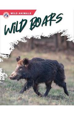 Coperta cărții 'Wild Boars - Libby Wilson'