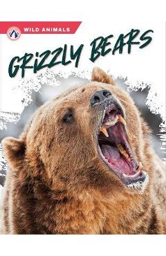 Coperta cărții 'Grizzly Bears - Rachel Hamby'