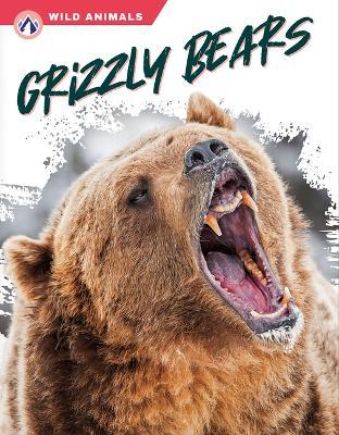 Coperta cărții 'Grizzly Bears - Rachel Hamby'