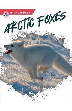Coperta cărții 'Arctic Foxes - Megan Gendell'