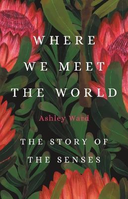Where We Meet the World: The Story of the Senses - Ashley Ward