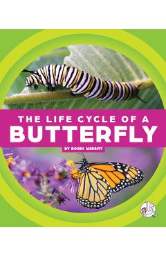Poza produsului The Life Cycle of a Butterfly - Robin Merritt
