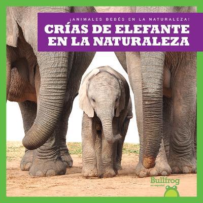 Crнas de Elefante En La Naturaleza (Elephant Calves in the Wild) - Marie Brandle
