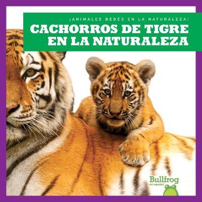 Cachorros de Tigre En La Naturaleza (Tiger Cubs in the Wild) - Marie Brandle