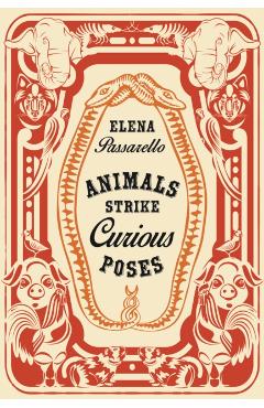 Animals Strike Curious Poses - Elena Passarello