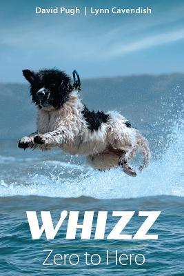 Whizz: Zero to Hero - David Pugh
