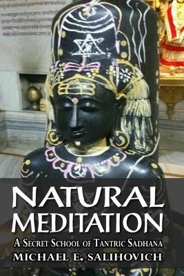 Natural Meditation - Michael E. Salihovich