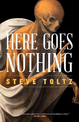 Here Goes Nothing - Steve Toltz
