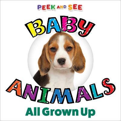 Peek and See Baby Animals All Grown Up - Editors Of Happy Fox Books