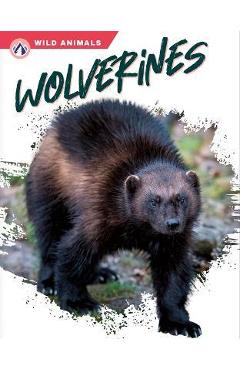 Coperta cărții 'Wolverines - Megan Gendell'