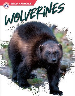 Coperta cărții 'Wolverines - Megan Gendell'