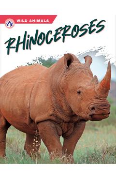 Coperta cărții 'Rhinoceroses - Rachel Hamby'