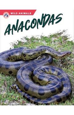 Coperta cărții 'Anacondas - James Bow'