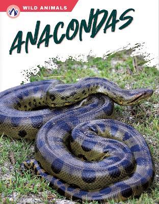 Coperta cărții 'Anacondas - James Bow'