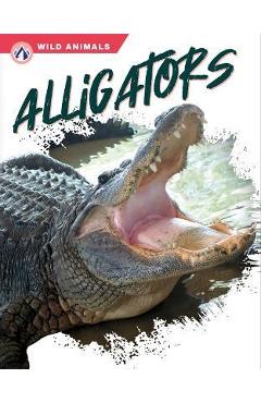 Coperta cărții 'Alligators - Shannon Jade'