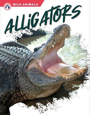Coperta cărții 'Alligators - Shannon Jade'