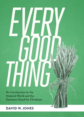 Every Good Thing: An Introduction to the Material World and the Common Good for Christians - David W. Jones