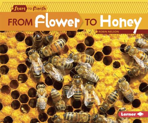 From Flower to Honey - Robin Nelson