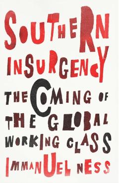 Southern Insurgency: The Coming of the Global Working Class - Immanuel Ness