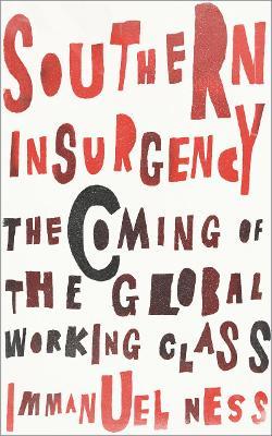 Southern Insurgency: The Coming of the Global Working Class - Immanuel Ness
