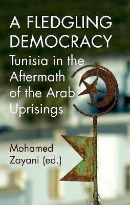 A Fledgling Democracy: Tunisia in the Aftermath of the Arab Uprisings - Zayani