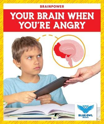 Your Brain When You're Angry - Abby Colich