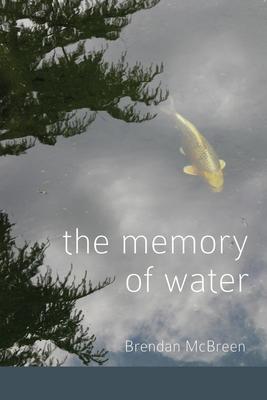 The Memory of Water - Brendan Mcbreen