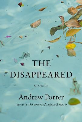 The Disappeared: Stories - Andrew Porter