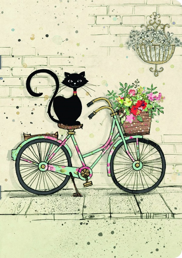 Caiet: Pisica pe bicicleta