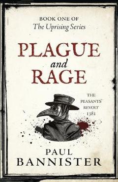 Coperta cărții 'Plague and Rage - Paul Bannister'