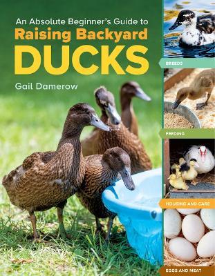 An Absolute Beginner's Guide to Raising Backyard Ducks: Breeds, Feeding, Housing and Care, Eggs and Meat - Gail Damerow
