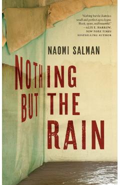 Nothing But the Rain - Naomi Salman