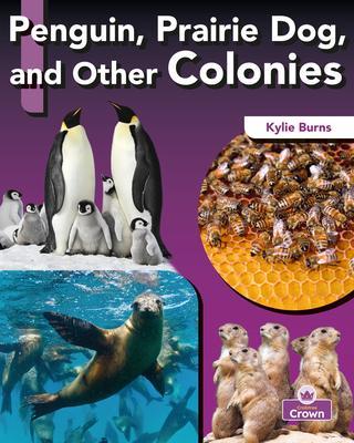 Penguin, Prairie Dog, and Other Colonies - Kylie Burns