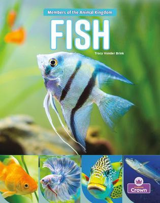 Coperta cărții 'Fish - Tracy Vonder Brink'