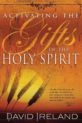 Activating the Gifts of the Holy Spirit - David Ireland