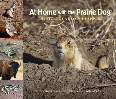 At Home with the Prairie Dog: The Story of a Keystone Species - Dorothy Hinshaw Patent