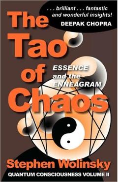 The Tao of Chaos - Stephen Wolinsky