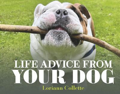 Life Advice from Your Dog - Loriann Collette